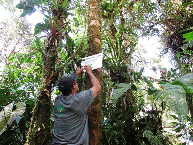 The ranger putting up a sign